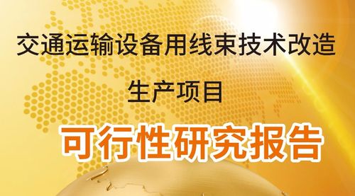 邵陽代寫項目資金管理實施細(xì)則投資必備利器